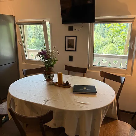 Holiday home смерічник Snidavka